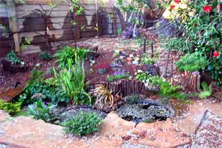 Pond Complete