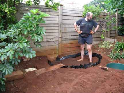 Syringa Roots